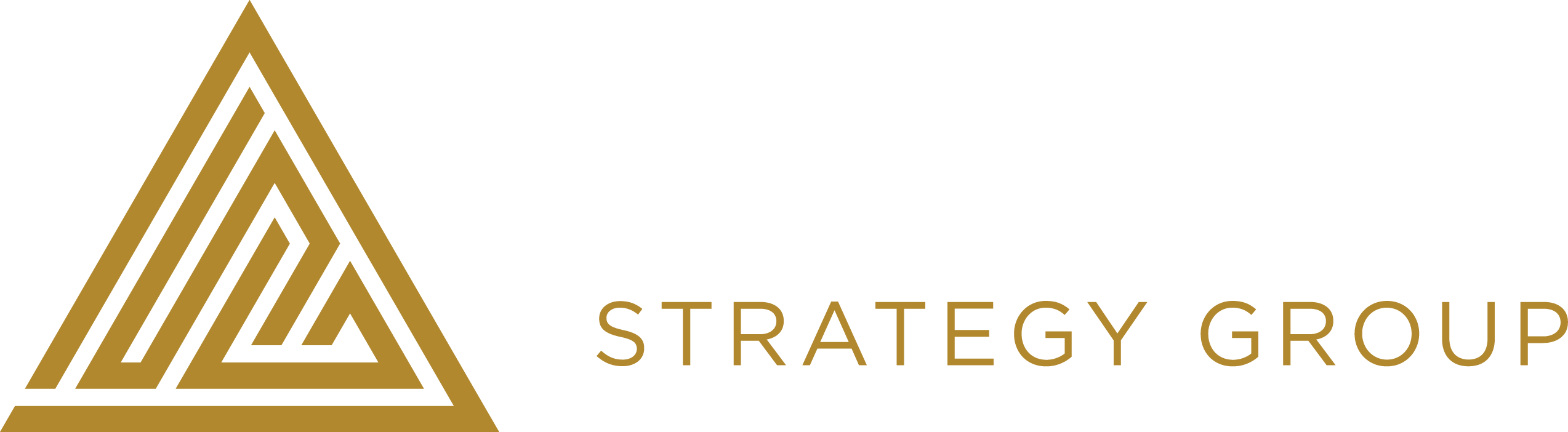 I Help Founder Scale Faster-Digital Strategy Group Logo